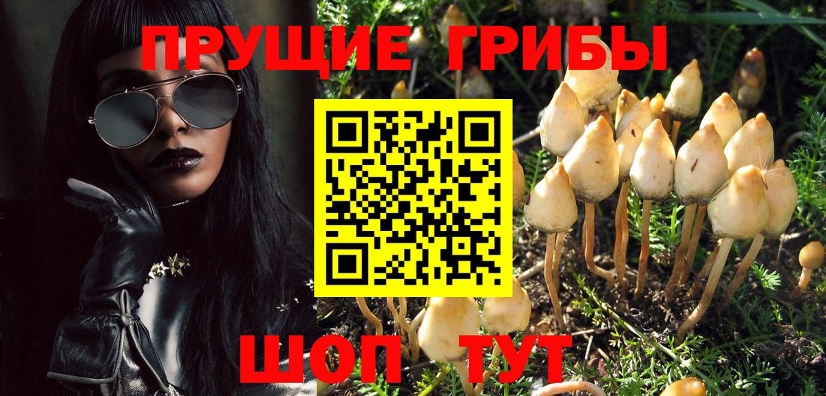 Среднеуральск  Псилоцибиновые грибы Psilocybe  Вход с VPN 