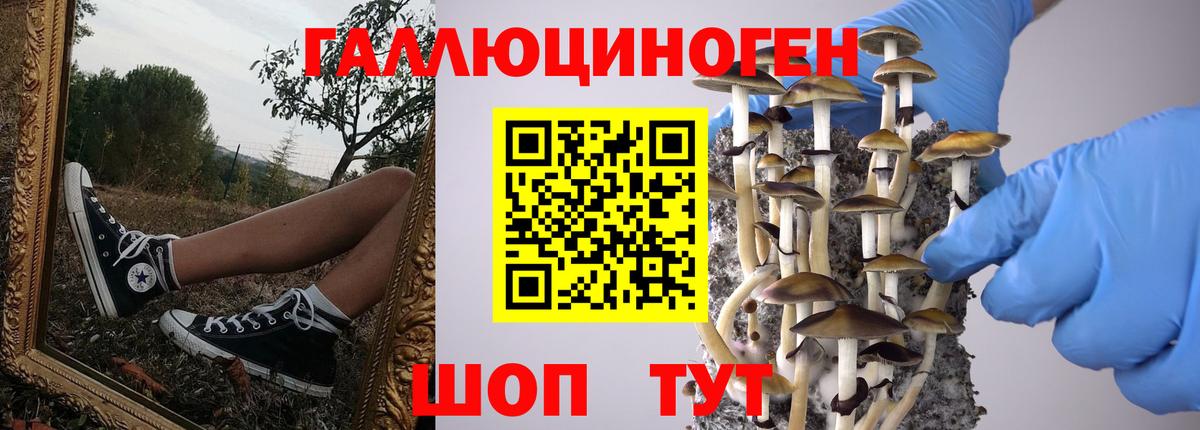 Псилоцибиновые грибы MAGIC MUSHROOMS Среднеуральск